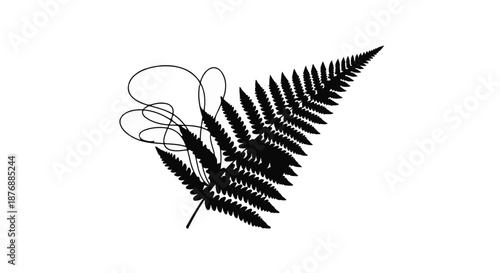 Elegant fern frond silhouette with abstract scribble on white background.