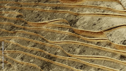 Close-up of abstract wavy patterns with a textured surface in earthy tones Natural Lines Curves. Concept featuring abstract, patterns, wavy, texture, surface.
