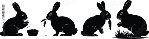 Rabbit silhouette set eating food and carrot, cute bunny animal icons collection, wildlife pet concept, black vector illustration.