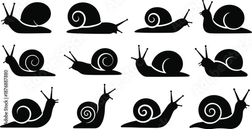 Snail silhouette vector set, crawling garden snail icons collection in different poses, black animal illustration isolated on white