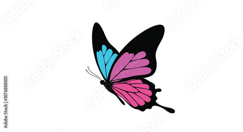 Stylized butterfly with black wing borders and colorful pink and blue sections shown in a side profile against white.