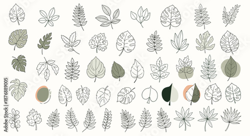 Large collection of diverse leaf sketches and outlines in various shapes and styles on a cream background for art.