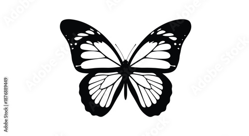 Detailed black and white butterfly illustration with spread wings showcasing intricate natural patterns and symmetrical markings.