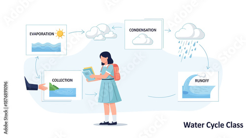 Illustrating The Water Cycle Education For Science Subject In Class Session