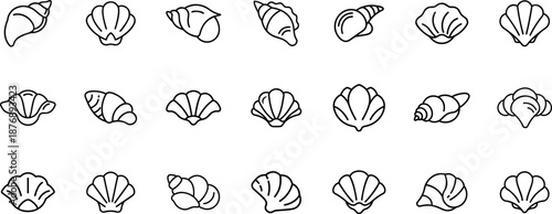 Collection of diverse seashell illustrations in a minimalist line art style on transparent background