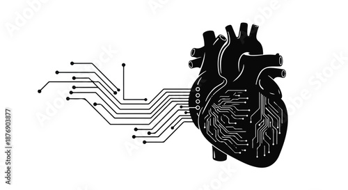 Conceptual Digital Heart Interconnected System of Biology and Technology