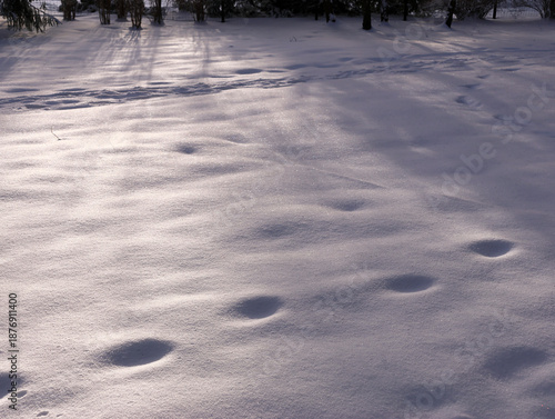 Footprints in Fresh Snow on Winter Landscape