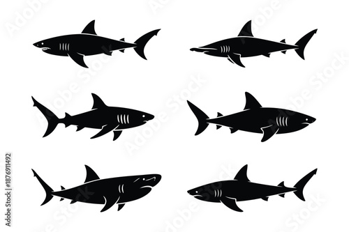 Predatory shark silhouettes set including hammerhead species
