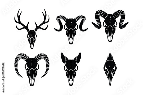 Animal skull silhouettes with horns and antlers set
