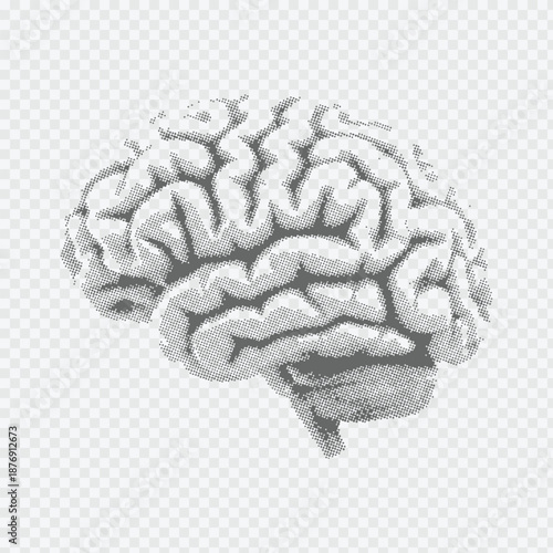Human brain medical illustration dot halftone pattern in gray on transparent background