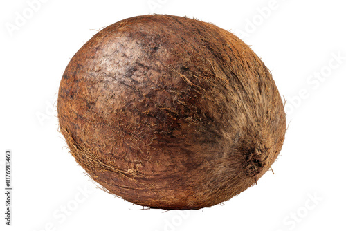 Whole brown coconut isolated on transparent background. Whole brown coconut with husk detail and texture isolated on white background.