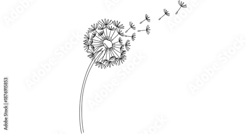 Dandelion flower with seeds blowing away.