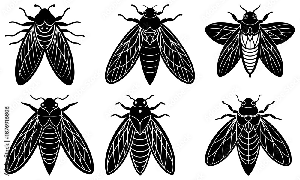 custom made wallpaper toronto digitalSix Cicada Insects with Detailed Wings on White Background black and white silhouette