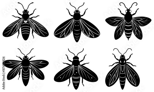 Six Black and White Insect Silhouettes on White Background