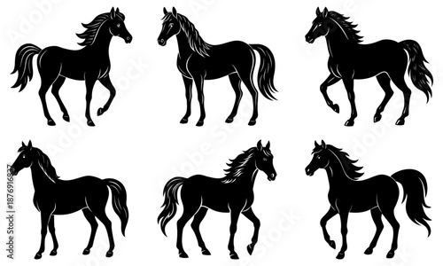 Six black horses in different poses on a white background silhouette animal
