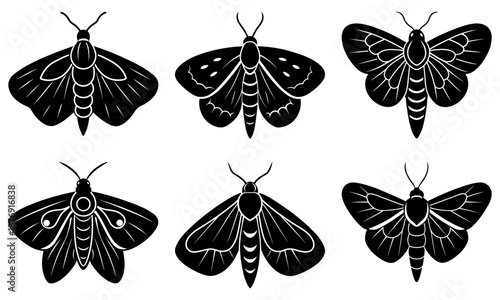 Six Different Black and White Moth Silhouettes on White Background moths