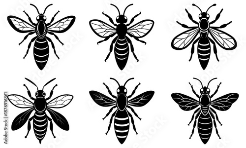 Six Black and White Striped Insects with Transparent Wings on White Background bees wasps