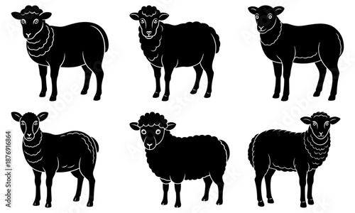 Five black and white sheep silhouettes on a white background outline