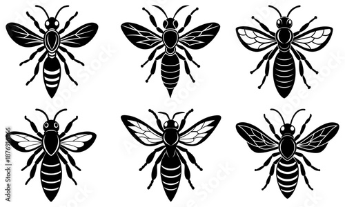 Six Black and White Striped Insects with Transparent Wings on White Background wasp silhouette
