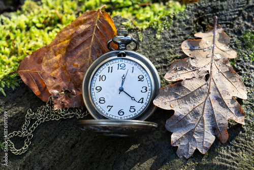 Taschenuhr in der Natur