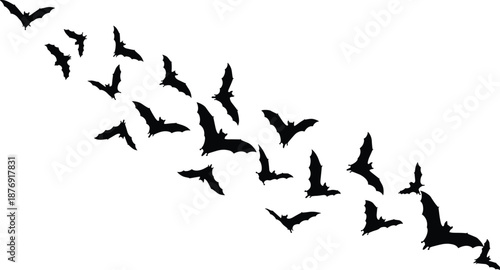 Black silhouettes of bats flying in formation on white background flying bats black bats