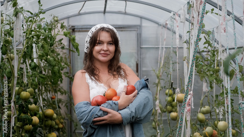 A seductive girl collects organic tomatoes in a greenhouse in the village, is engaged in farming.