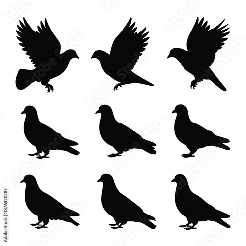 Collection of black silhouette pigeons in various flying and standing positions