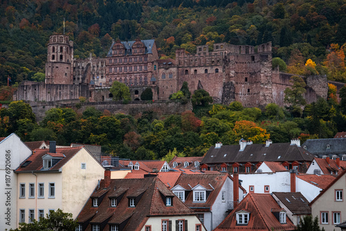 Schloss in Heidelberg