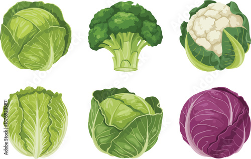 Fresh Vegetable Outline Icon Set  Cabbage, Broccoli, Cauliflower, Lettuce, and Greens