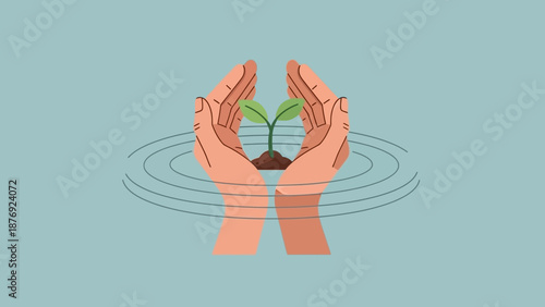 Hands Holding Small Plant in Water.