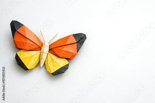 Colorful origami butterfly made from realistic textured paper  