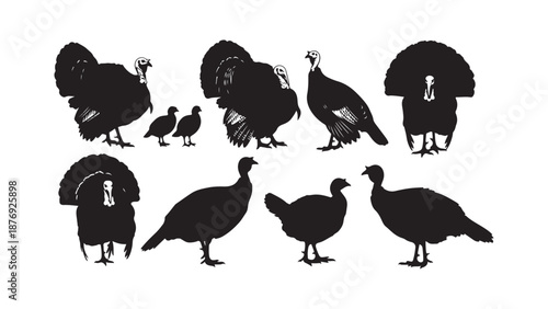 Turkey silhouettes collection in flat design style