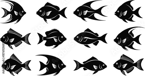 Black fish silhouettes on white background aquatic