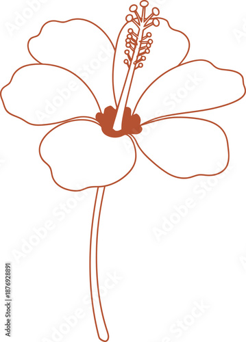 Outline of a hibiscus flower with a dark red center and stamen, concept of tropical flora. Vector illustration for greeting card