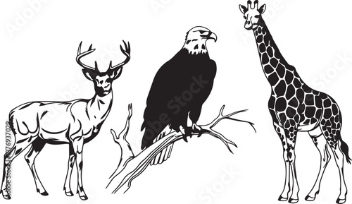 A set of vector outlines capturing the essence of different animal species using clean, hand-drawn lines.