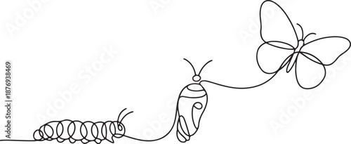 An elegant, hand-drawn illustration focusing on the journey from a crawling caterpillar to a flying insect.
