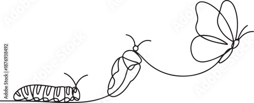A clean, vector-based line art image showcasing the three key stages of a butterfly's transformation