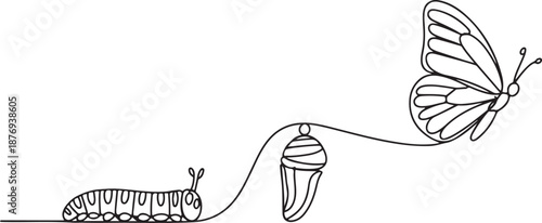 This continuous line drawing illustrates the process of complete metamorphosis, specifically the butterfly life cycle