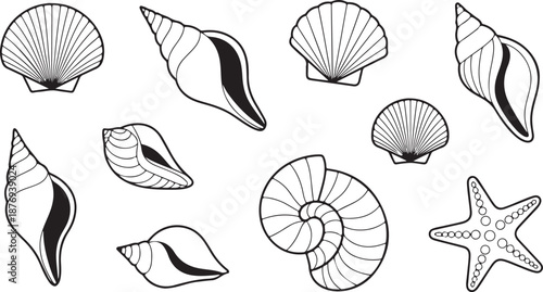 sea shells seamless pattern Simple Seashell Line Art
