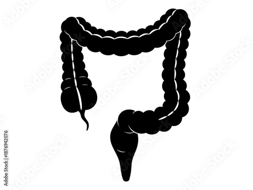 A nice silhouette icon of human large intestine or colon vector illustration