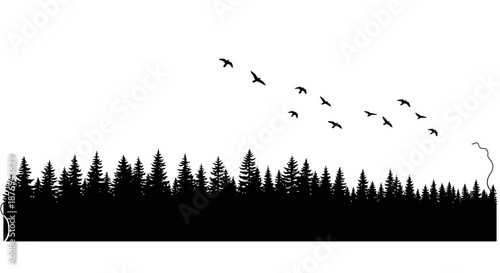 Flock of Birds Flying Over Forest Silhouette.