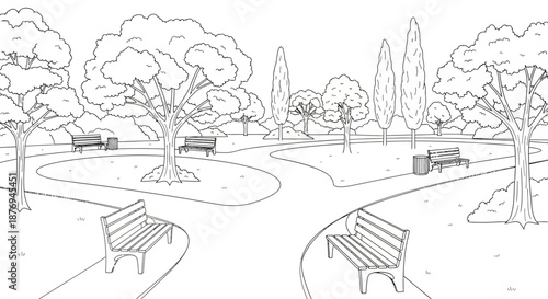 Park Scene with Benches and Trees Illustration.