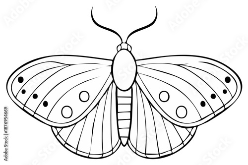 Stylized Moth Outline with Symmetrical Wing Patterns