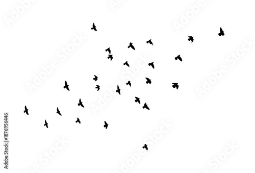 Flying birds silhouette flock. hand drawing. Not AI. Vector illustration