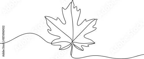 Maple leaf One line drawing isolated on white background, Autumn Maple Leaf, one line Art icon drawing vector
