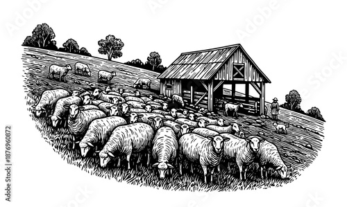 Sheep grazing against hillside pasture