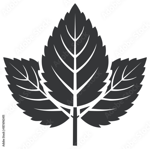 Black silhouette icon of fresh mint leaves on a stem vector graphic