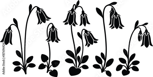 Bellflower silhouette set for botanical illustration, wildflower graphics, vinyl cutting, stickers, printable vector designs, crafting and nature themed artwork