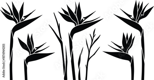 Bird of paradise flower silhouette set, tropical botanical floral vector clipart for crafting, laser cutting, wall art decoration and design projects