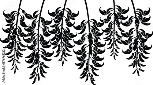 Elegant hanging wisteria floral silhouette with cascading leaves and vines, botanical vector illustration for wall art, decals, laser cutting, decorative design